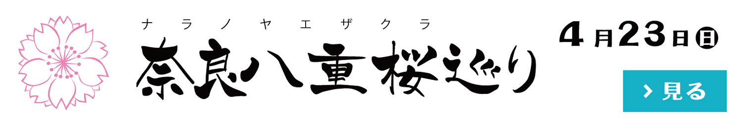 奈良八重桜巡り2023