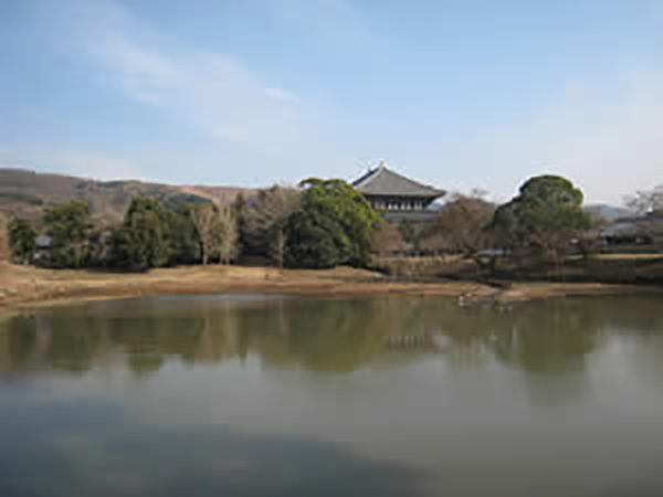 大仏池から望む東大寺
